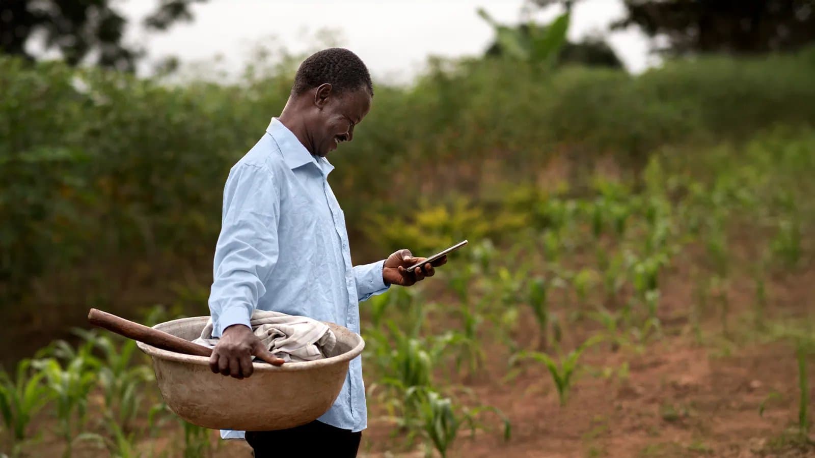 Agtech Funding Shift: Kenya's Shocking Dip—Opportunity?